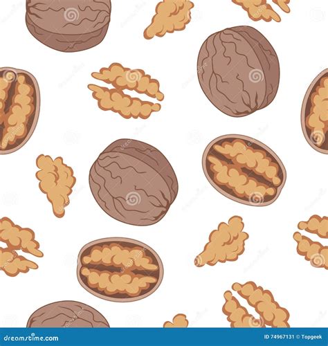 Walnut Seamless Pattern Traditional Nuts Nack Healthy Food Background