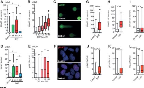 Figure 1 From Androgen Deprivation Followed By Acute Androgen Stimulation Selectively Sensitizes