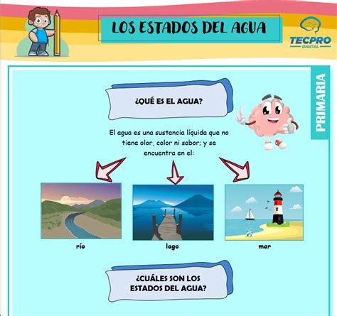 Los Estados Del Agua Para Segundo De Primaria Ciencias Sociales