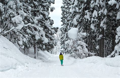 Estas Son Las Recomendaciones Que Debes Seguir Si Visitas Zonas Nevadas