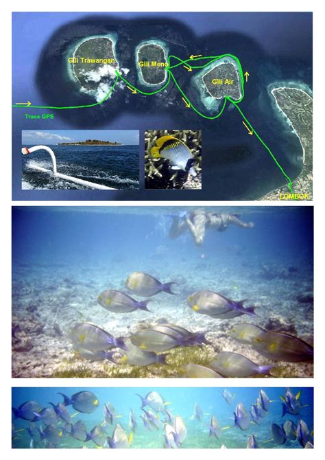 Snorkeling at Gili Air | The best snorkeling spots around Bali