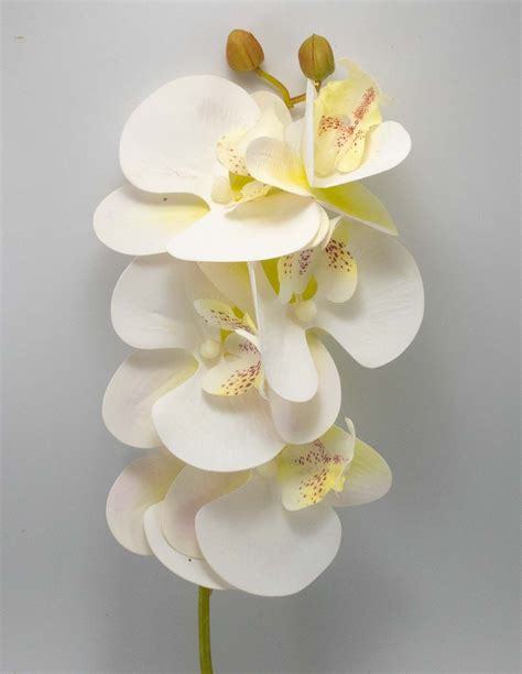 Orchid E Artificielle Xxl Orchid E Blanche