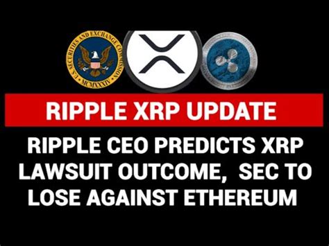 Xrp Ripple Is Getting Real Crazy Ceo Of Ripple Expects Sec To Lose