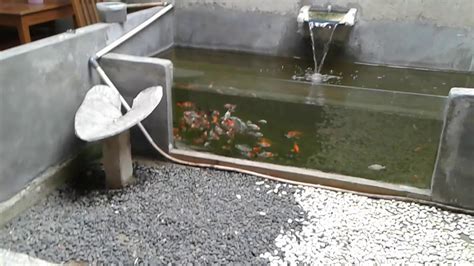 49 Cara Membuat Kolam Ikan Koi Di Dalam Rumah Rumah Minimalis