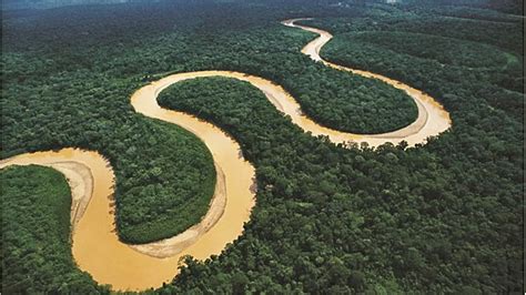 Rio Amazonas Historia Origen Características Profundidad Y Mas