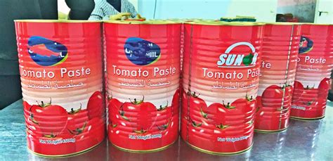 Canned Tomato Paste 22 24 28 30 In Tinsdrumjars 4500gx6tins China