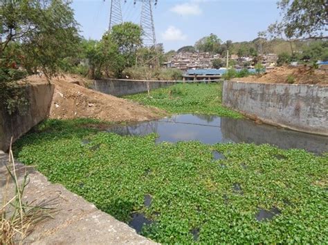 Walking Along the Mithi River: Five Opportunities To Improve Flood ...