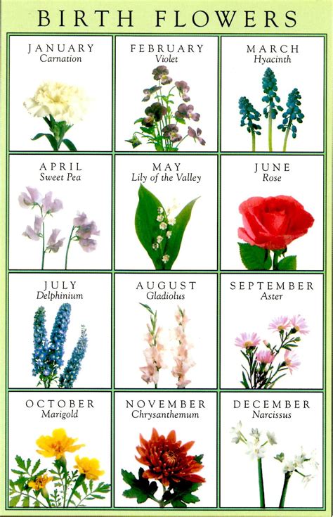 Birth Month Flower Chart