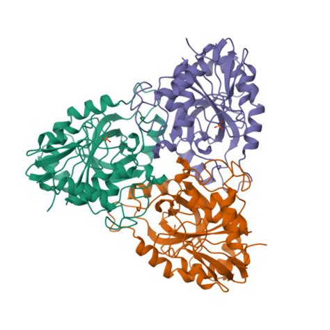 Rcsb Pdb Pnp The High Resolution Crystal Structure Of Bovine Spleen