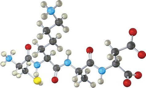 26.11 How Do Enzymes Work? Citrate Synthase – Organic Chemistry: A Tenth Edition – OpenStax ...