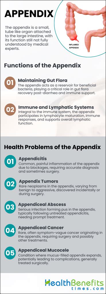 appendix health benefits