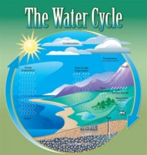 Hydrologic Cycle Water Education Foundation