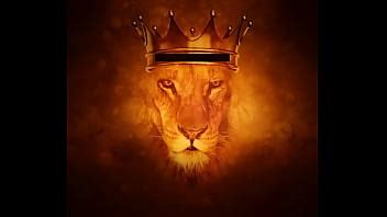 Lion Might Battle Lion XVIDEOS