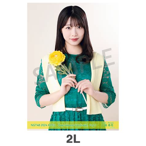 2024年4月度 個別生写真5枚セット Vol2part1 小越春花【2l判サイズ】 Ngt48 Official Goods Store