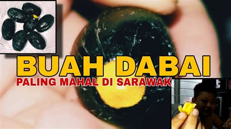 Buah Dabai Buah Langka Yang Paling Mahal Di Sarawak Youtube