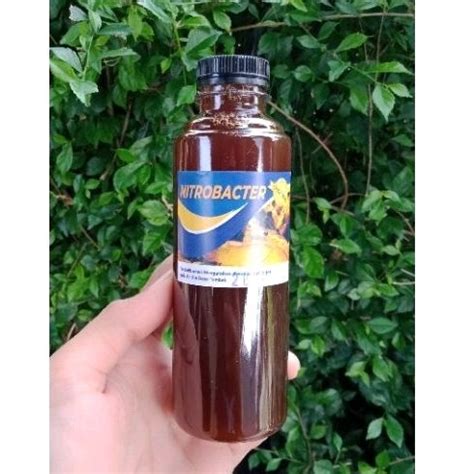 Jual Nitrobac Probiotik Kolam Koi Cair 250 Ml Shopee Indonesia