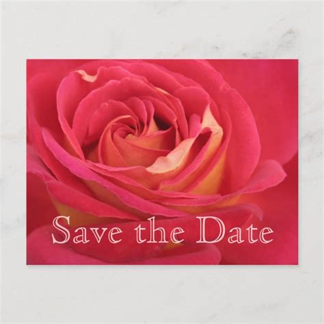 Save The Date 100th Birthday Celebration Postcard Zazzle