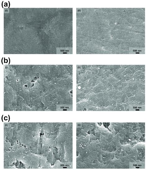 The Surface Of The Ptfe Film Observed By The Scanning Electron