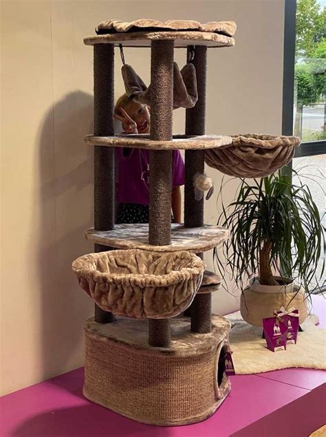 Petrebels XXL Arbre à chat pour grands chats Catharina 160 Cappuccino