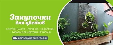 Кашпо, Горшки Китай, Россия для цветов. | Закупки кашпо, горшков ...