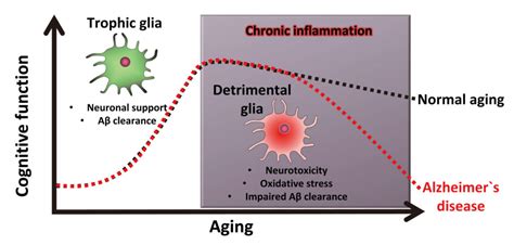 Research Neurobiology Of Aging Disease Laboratory