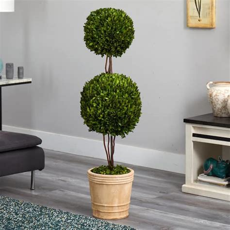 Preserved Boxwood Topiary