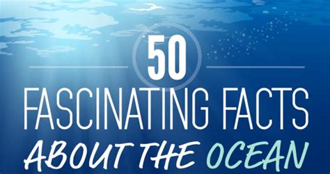 50 fascinating facts about the ocean - DIVER magazine