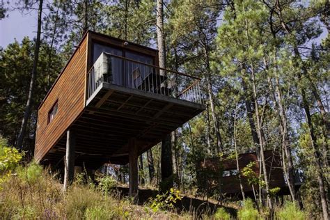 Devedor favorito lenço de papel parques campismo interior lagoa