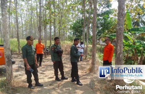 InfoPublik Perhutani Pemkab Ciamis Kolaborasi Mitigasi Karhutla Di