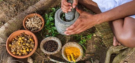 These Simple Ayurvedic Immunity Boosting Secrets Will Keep The Doctors Away