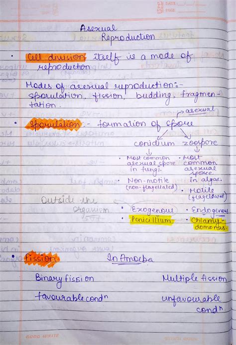 SOLUTION Asexual Reproduction And Its Types With Examples Studypool