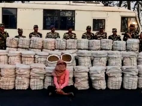 Smuggler Arrested With 800 Kg Ganja In Supaul Ssb 45th Battalion Nabbed On Indo Nepal Border