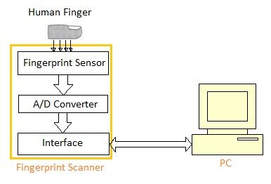 Fingerprint Sensor Basics Fingerprint Sensor Types