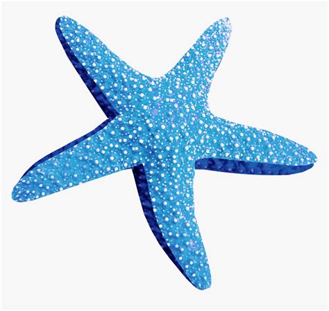 Blue Starfish Png Blue Starfish Png Starfish Png Transparent Png