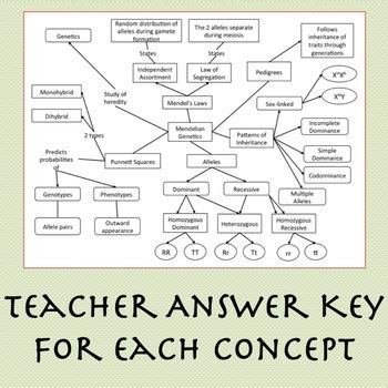 Cell Concept Map Worksheet Answers - Escolagersonalvesgui