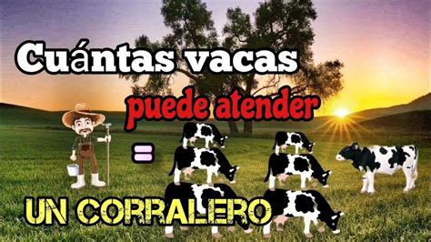 Cu Ntas Vacas Puedo Tener Un Jubilado En Su Granja