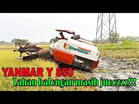 Panen Padi Dengan Combi Tangguh Super Cepat Yanmar Y 850 YouTube