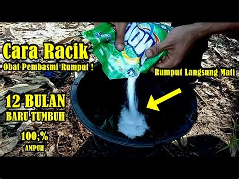 Cara Membasmi Rumput Agar Cepat Mati Dalam Hitungan Jam Rumput Sudah