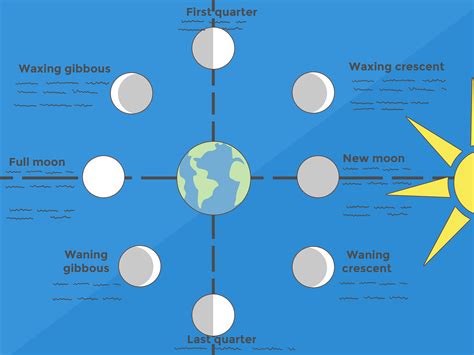 Diagram Phases Of The Moon Relative To Earth And Sun - The Earth Images Revimage.Org