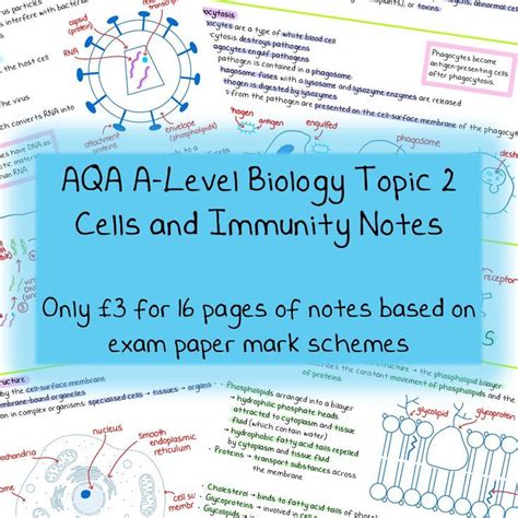 Available To Download Now I Have Put These Together Using The Specification And Past Exam Paper