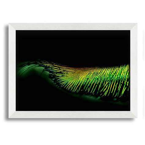 Brayden Studio Vibrant Green Feather Gerahmte Wandkunst Wayfair De