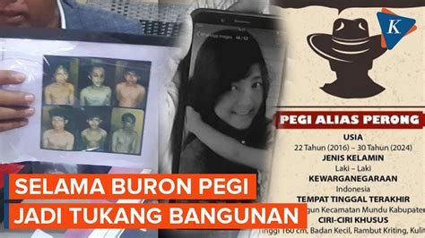 Pegi DPO Kasus Vina Cirebon Ditangkap Saat Jadi Buruh Bangunan Di