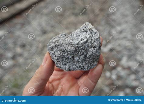 Sample Raw Specimen Of Granite Igneous Rock Stone On Geologist S Hand