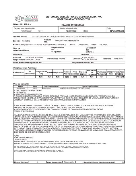 Receta Urgencias Issste SISTEMA DE ESTADÍSTICA DE MEDICINA CURATIVA