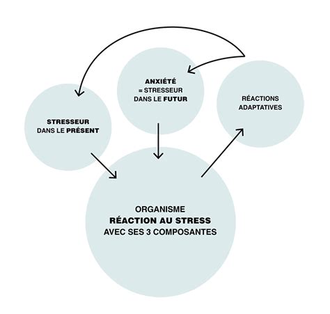 Mieux Vivre Avec Le Stress Et L Anxi T S Ance Comprendre Ahnac