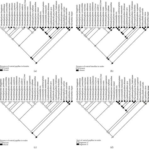 Bayesian Inference BI Tree Topology From Concatenated Data With