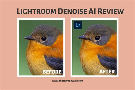 Lightroom Denoise Ai Is It Really Good Full Tutorial Review