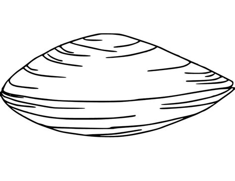 Clam Coloring Pages Printable