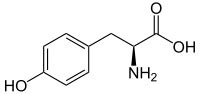 Tirosina Fonti Biochimica E Sintesi Biosintesi In Piante E Microrganismi