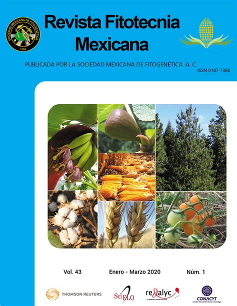 DIVERSIDAD GENÉTICA EN POBLACIONES DE RAZAS MEXICANAS DE MAÍZ Revista